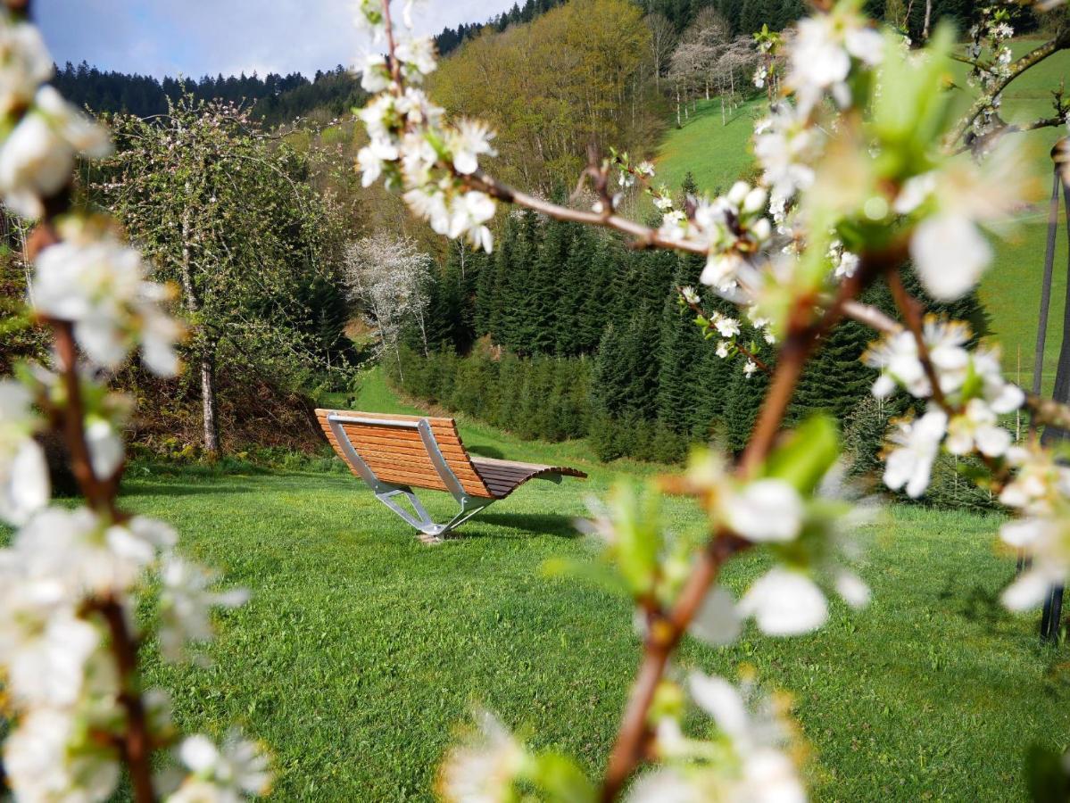Villa Buehlbauernhof à Bad Peterstal-Griesbach Extérieur photo