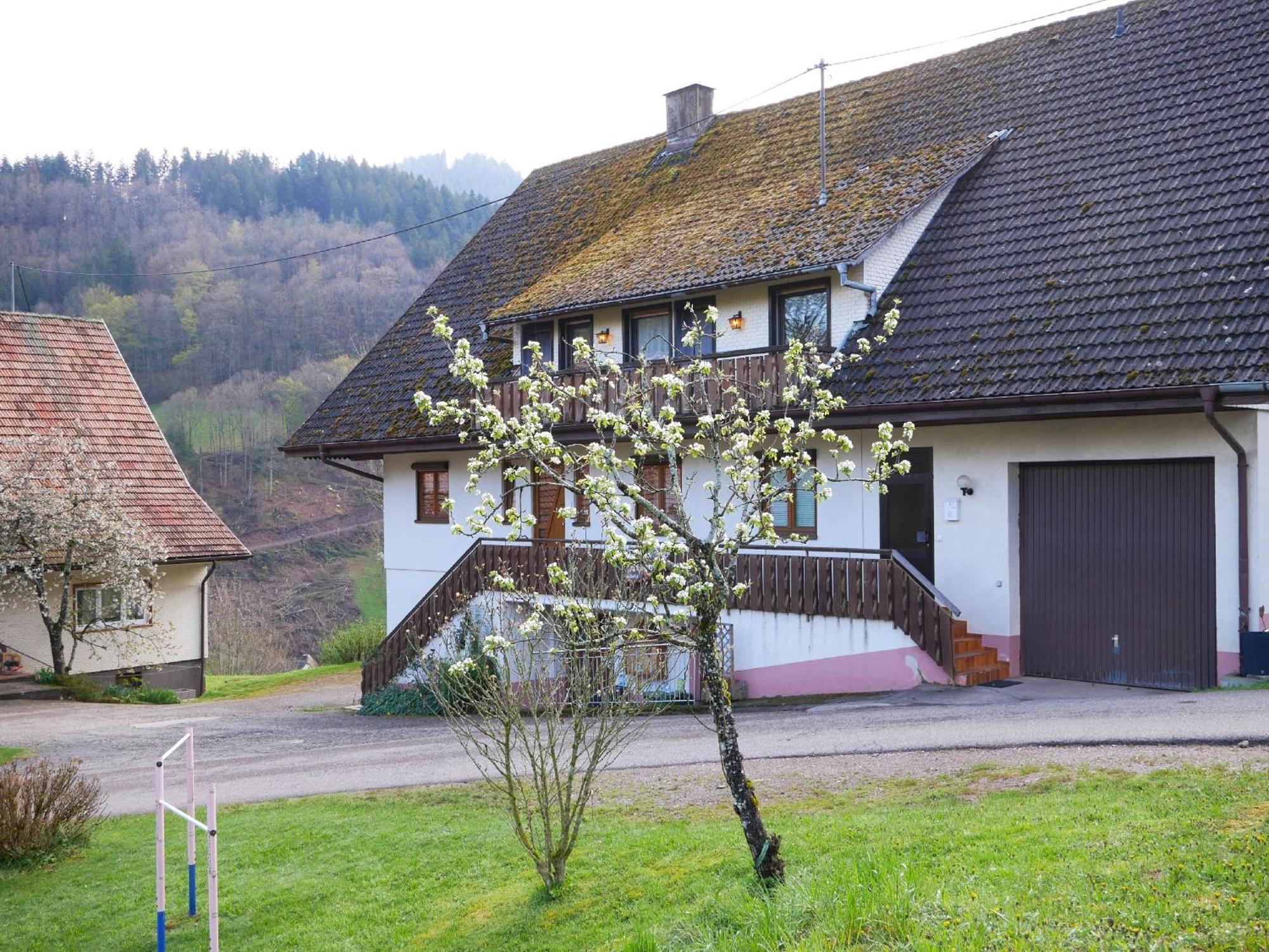 Villa Buehlbauernhof à Bad Peterstal-Griesbach Extérieur photo