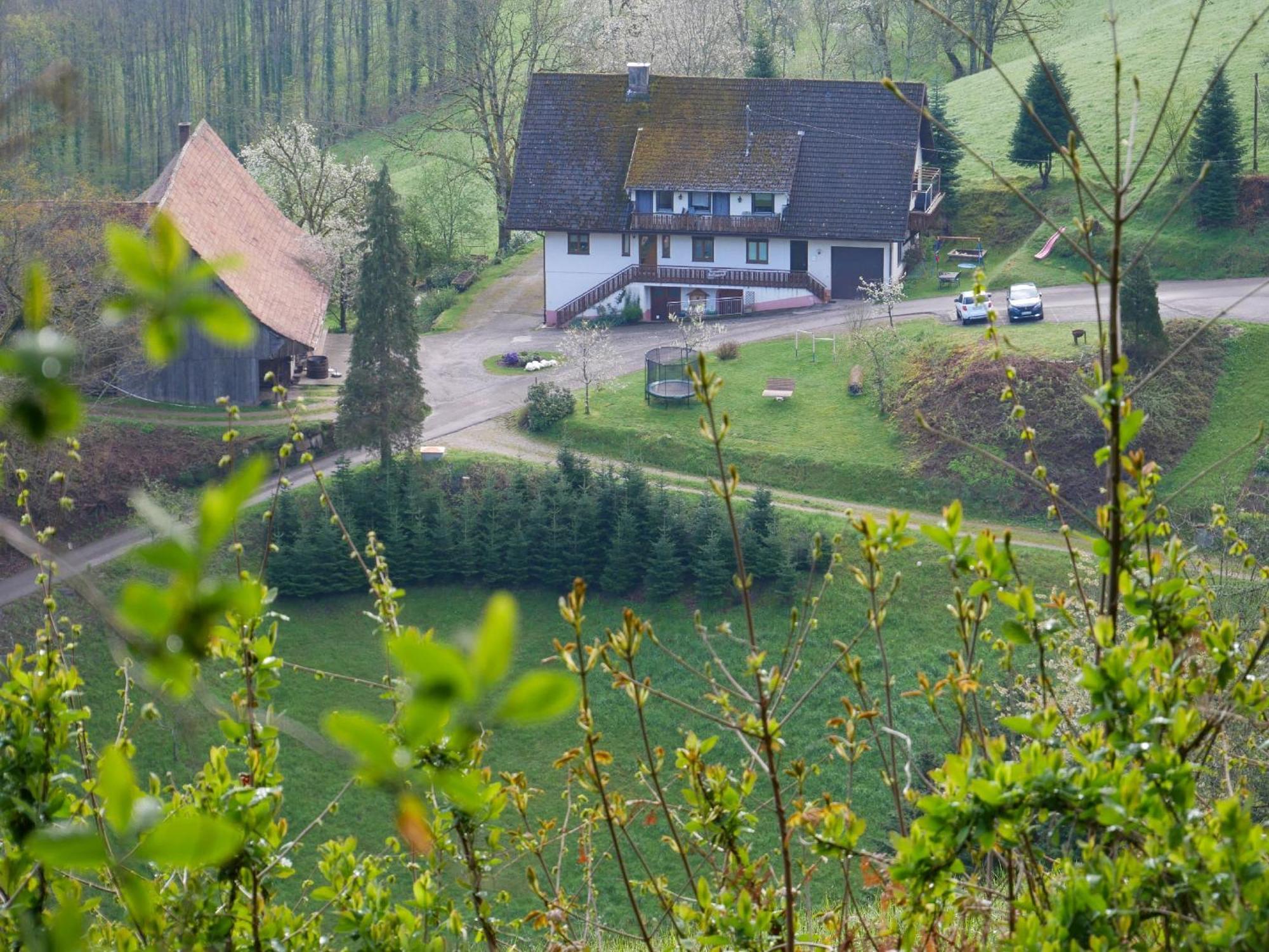 Villa Buehlbauernhof à Bad Peterstal-Griesbach Extérieur photo